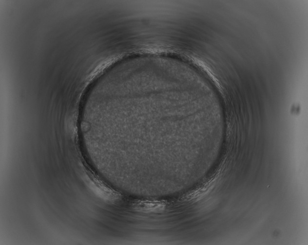 X0000096980443200803071033