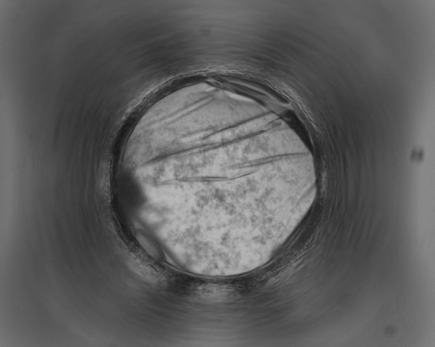 X0000096980444200803071033