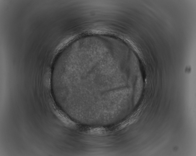 X0000096980446200803071033