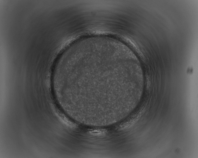 X0000096980447200803071033