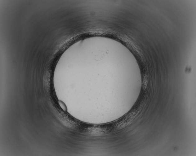 X0000096980448200803071033