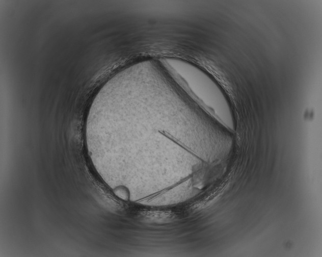 X0000096980449200803071033