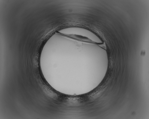 X0000096980450200803071033