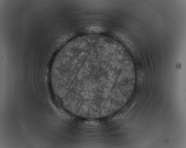 X0000096980451200803071033