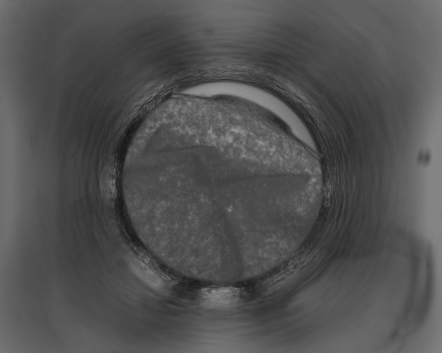 X0000096980452200803071033