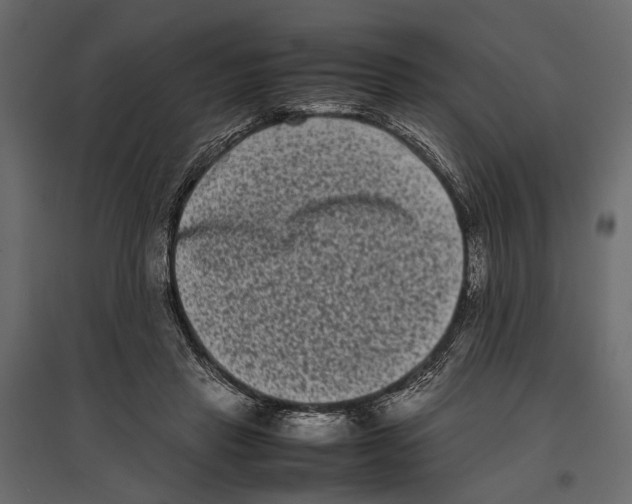 X0000096980453200803071034