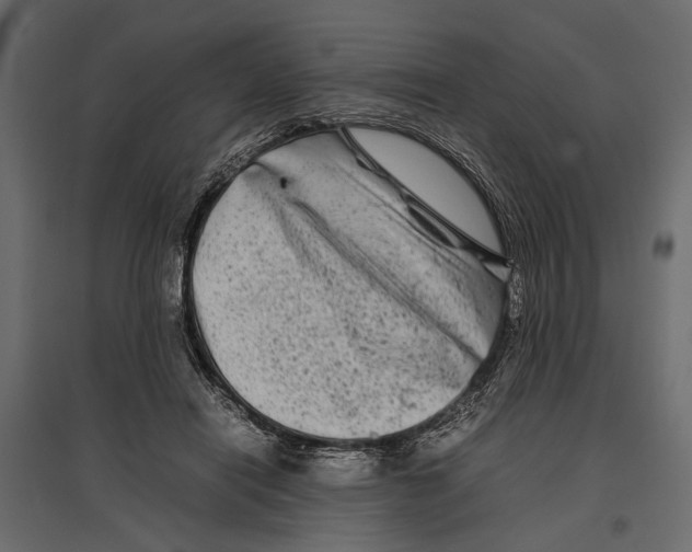 X0000096980454200803071034