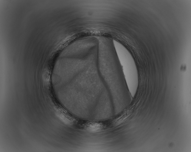 X0000096980456200803071034