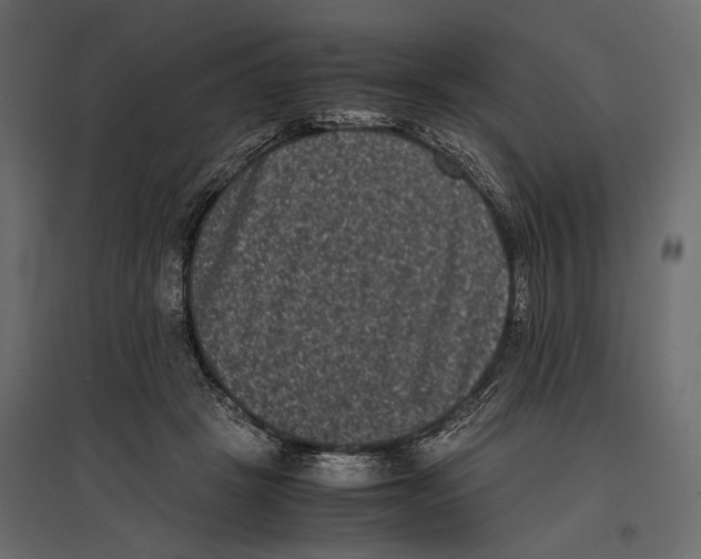 X0000096980457200803071034