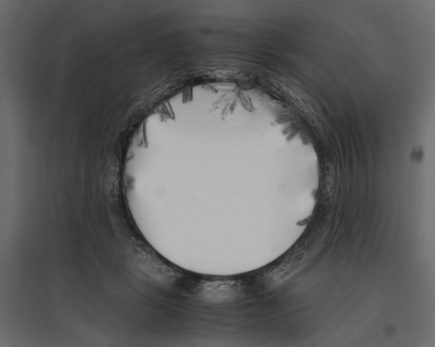 X0000096980461200803071034