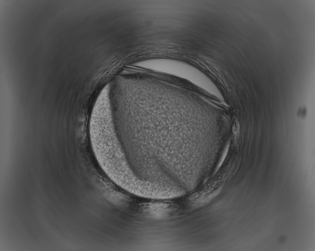 X0000096980462200803071034