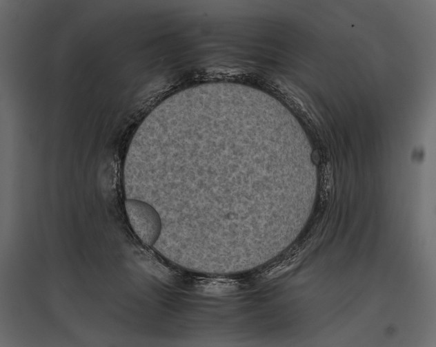 X0000096980463200803071034