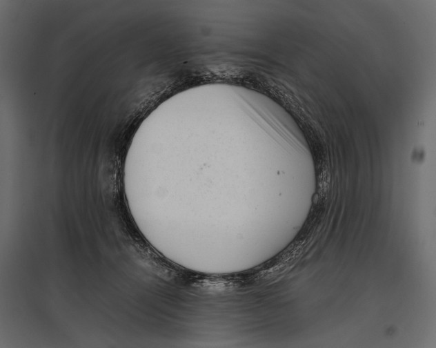 X0000096980464200803071034