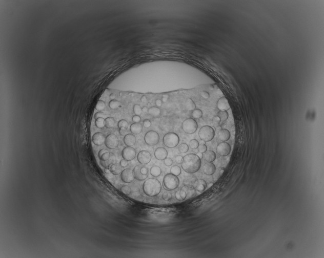 X0000096980465200803071034