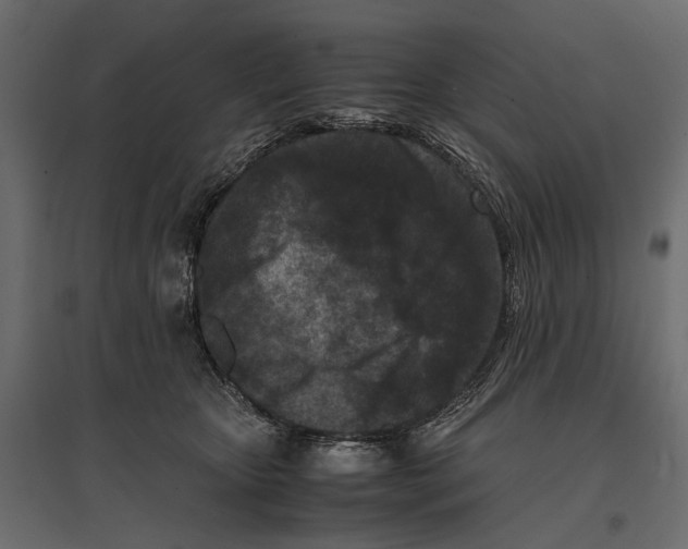 X0000096980467200803071034