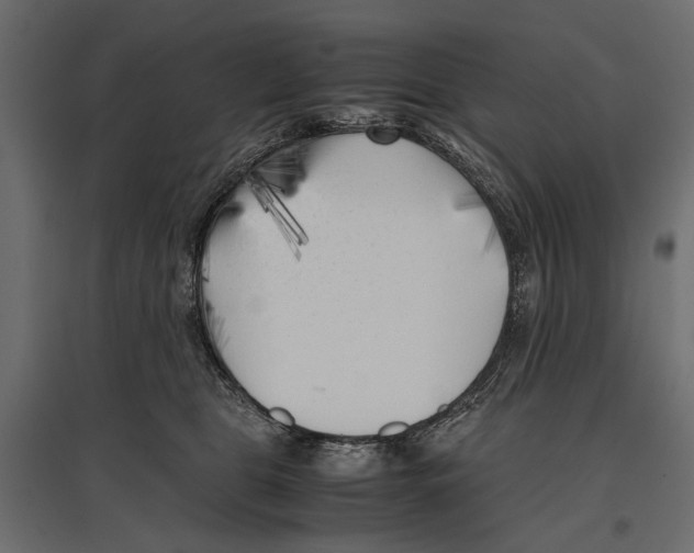 X0000096980469200803071034
