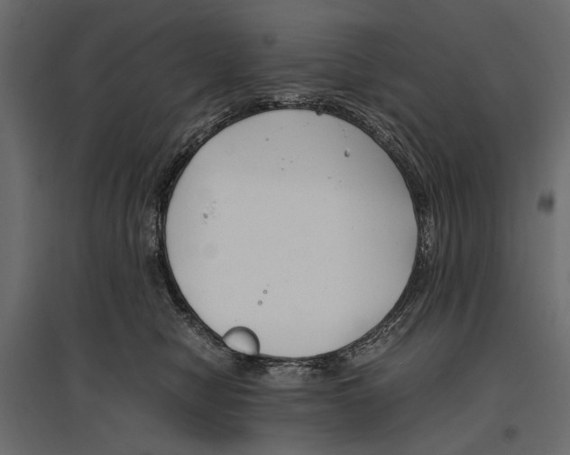 X0000096980470200803071034