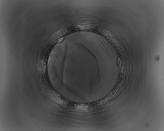 X0000096980471200803071034