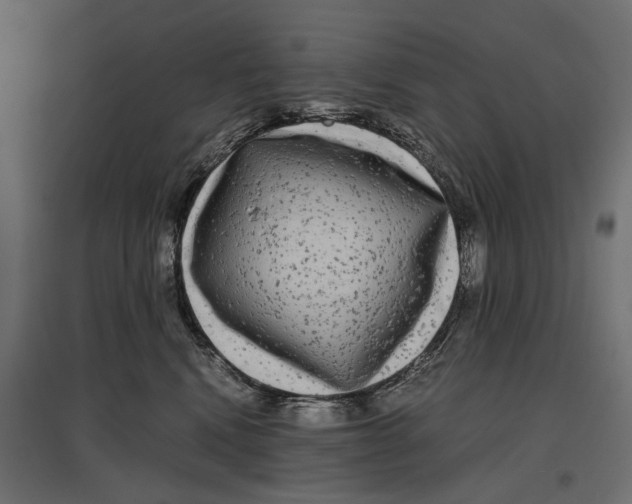 X0000096980472200803071034