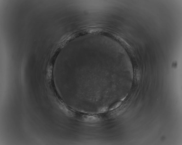 X0000096980475200803071034