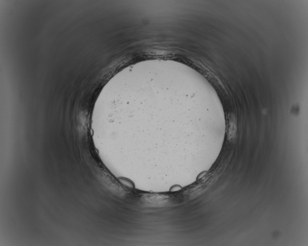 X0000096980476200803071034