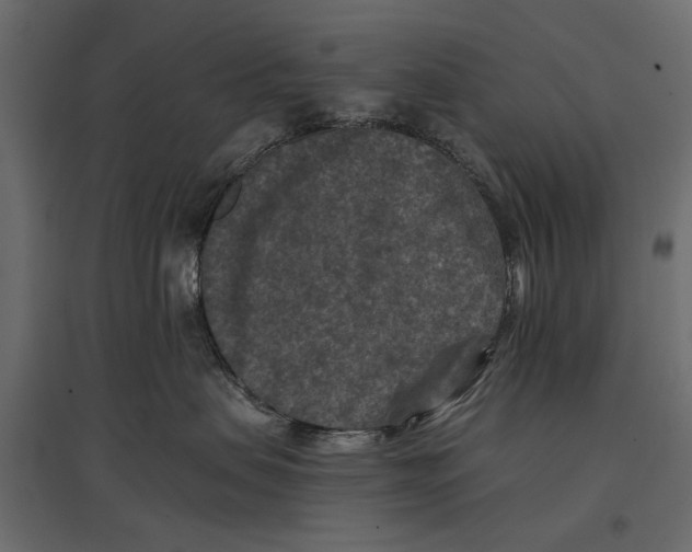 X0000096980479200803071034