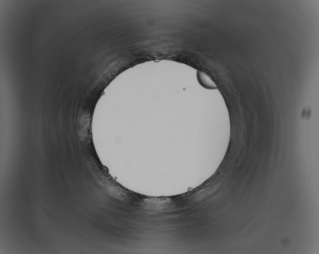 X0000096980480200803071034