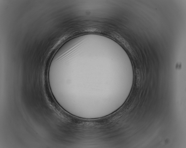 X0000096980482200803071033