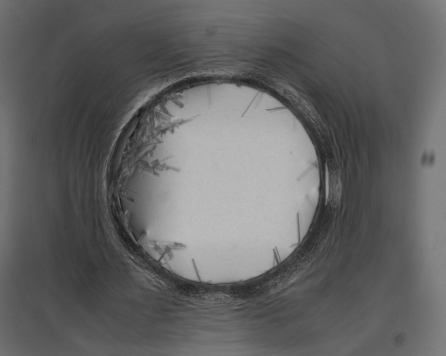 X0000096980483200803071033