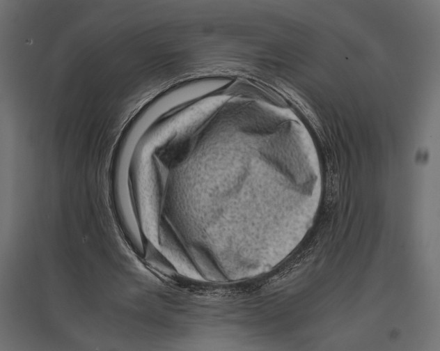 X0000096980485200803071033