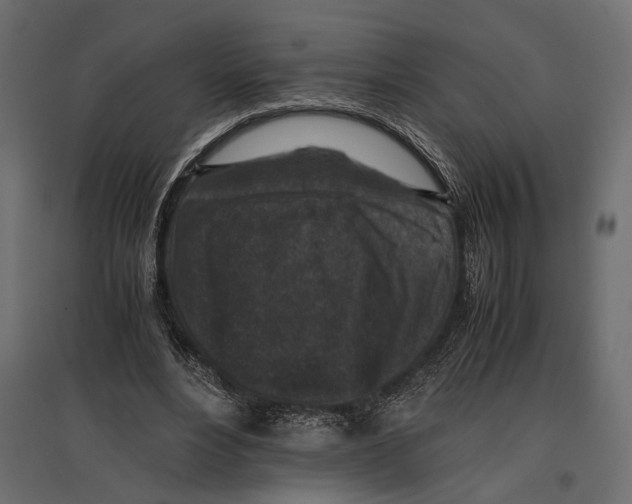 X0000096980488200803071033