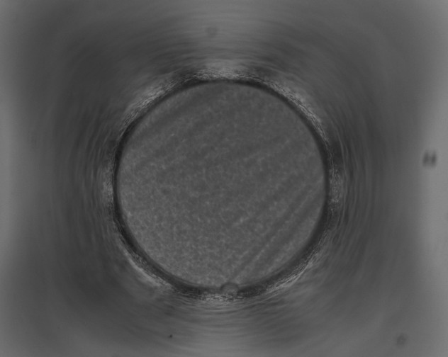 X0000096980489200803071033