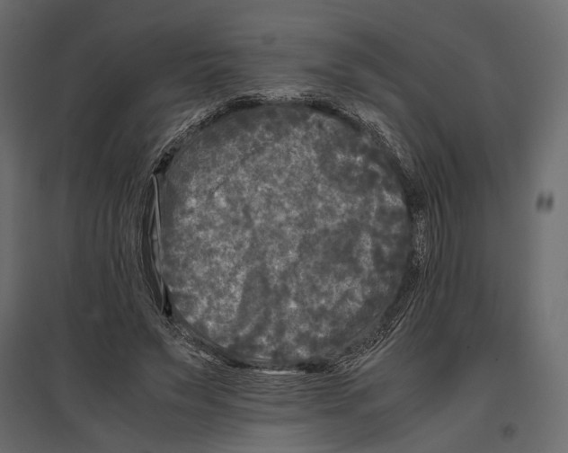 X0000096980495200803071033