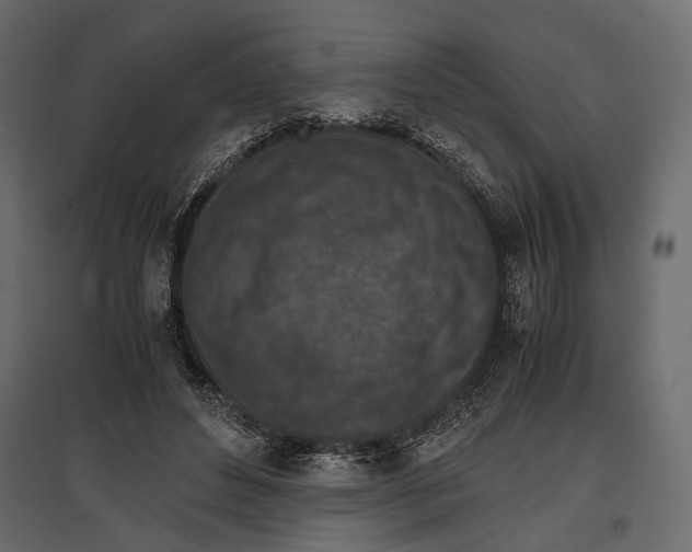 X0000096980496200803071033