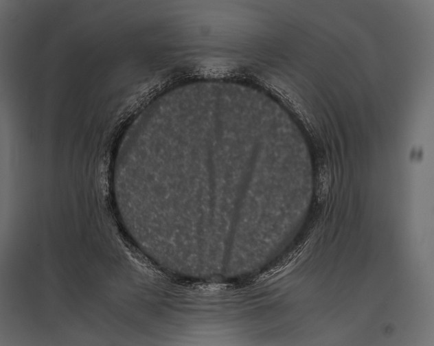 X0000096980497200803071033