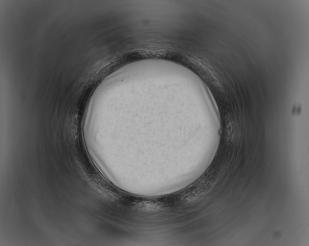 X0000096980498200803071033