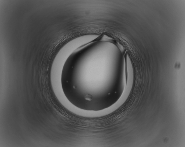 X0000096980499200803071033