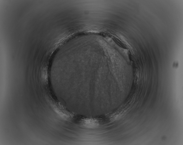 X0000096980500200803071033