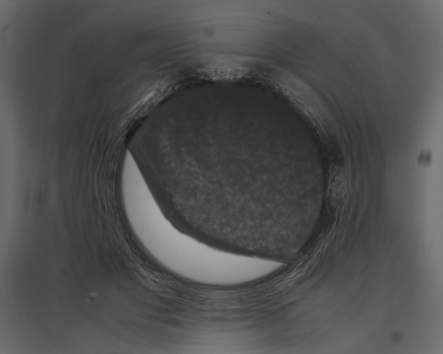 X0000096980501200803071033