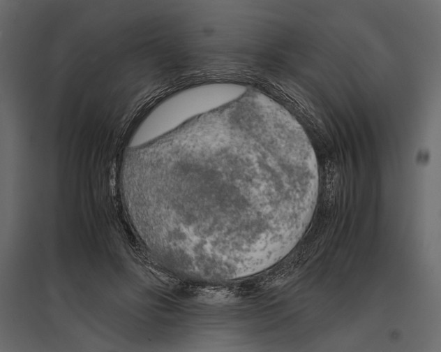 X0000096980502200803071033