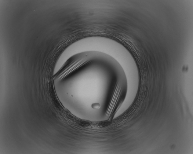 X0000096980503200803071033