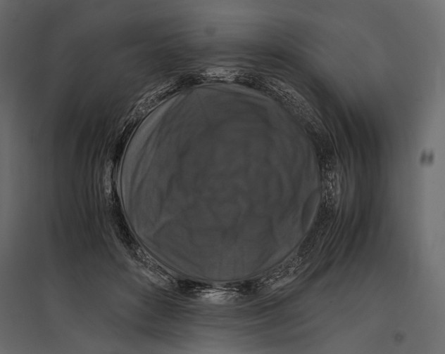 X0000096980504200803071033