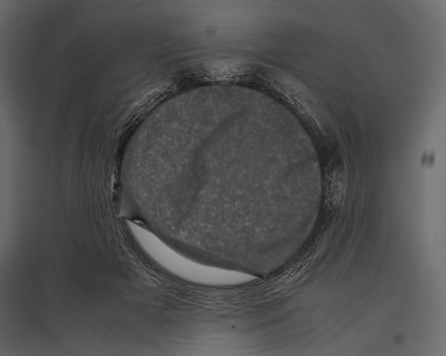 X0000096980505200803071033