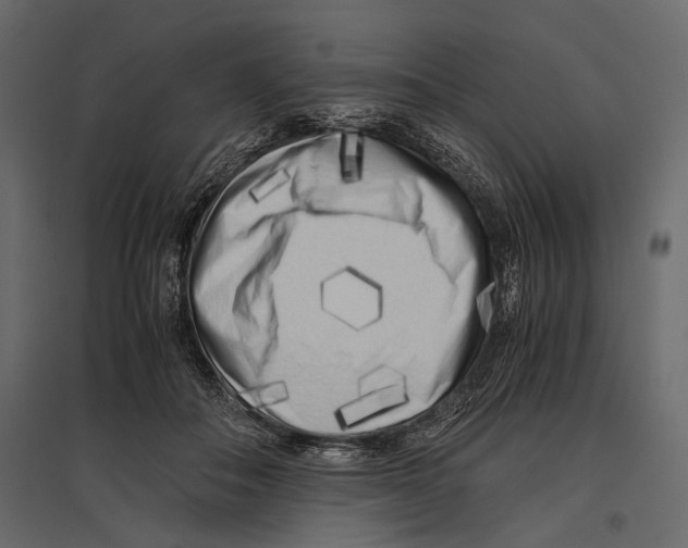 X0000096980506200803071033