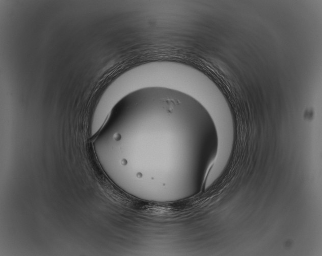 X0000096980507200803071033