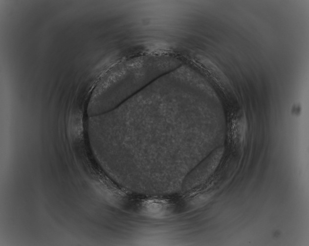 X0000096980508200803071033