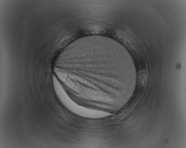 X0000096980509200803071033