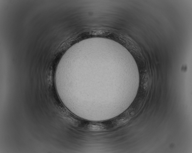 X0000096980510200803071033