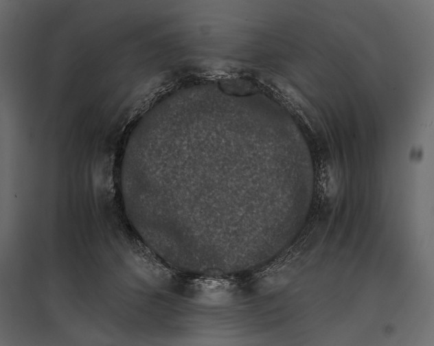 X0000096980512200803071033