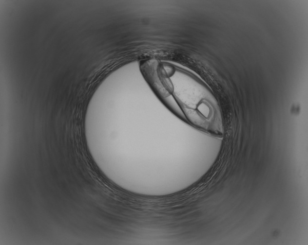 X0000096980513200803071033